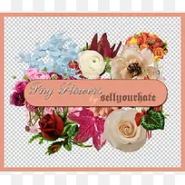 彩色鲜花主页装修-空若网 彩色鲜花主页装修-空若网