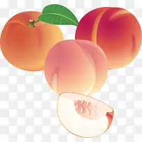 ����pngʸ���ز�-������