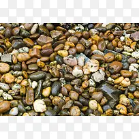 鹅卵石背景-空若网 鹅卵石背景-空若网