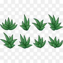 ¸÷ÖÖ²Ý-¿ÕÈôÍø ¸÷ÖÖ²Ý-¿ÕÈôÍø