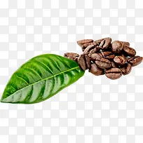 咖啡餐馆开业宣传-空若网 咖啡餐馆开业宣传-空若网