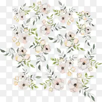 浪漫白色山茶花-空若网 浪漫白色山茶花-空若网