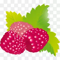 �����ӹ���ݮ������-������