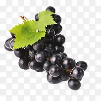 葡萄水果-空若网 葡萄水果-空若网