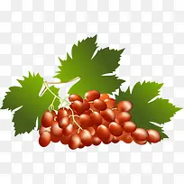 葡萄-空若网 葡萄-空若网