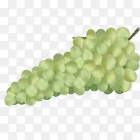葡萄-空若网 葡萄-空若网