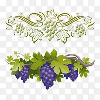 紫葡萄-空若网 紫葡萄-空若网