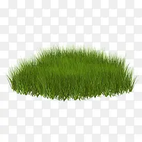 ï�ܵ��̲�-������