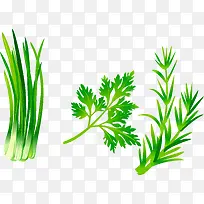 绿色蔬菜-空若网 绿色蔬菜-空若网