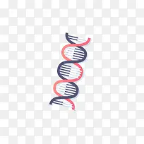 ʸ��DNA�ز�-������