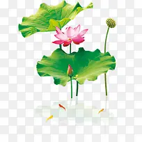 感恩父亲节快乐重要-空若网 感恩父亲节快乐重要-空若网