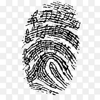 指纹-空若网 指纹-空若网