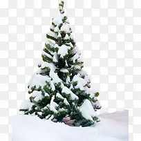 ��ѩ�ı�־-������