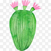 小清新插画广告设计卡通仙人掌-空若网 小清新插画广告设计卡通仙人掌-空若网