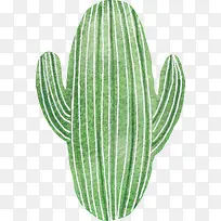 小清新插画广告设计卡通仙人掌-空若网 小清新插画广告设计卡通仙人掌-空若网