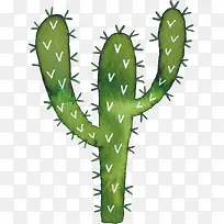 小清新插画广告设计卡通仙人掌-空若网 小清新插画广告设计卡通仙人掌-空若网