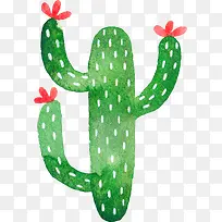 С���²廭�����ƿ�ͨ������-������