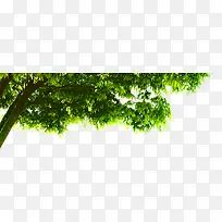 �������ⴺ������-������