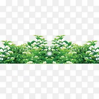 绿树阳光树影造型-空若网 绿树阳光树影造型-空若网