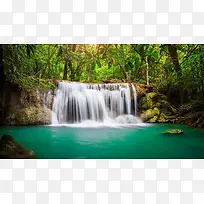 �ٲ�����������ľ-������