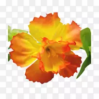 开花植物花瓣百合花花环-空若网 开花植物花瓣百合花花环-空若网