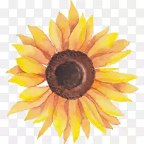 自爱杂志2017年3月11日-葵花籽博客-向日葵-空若网 自爱杂志2017年3月11日-葵花籽博客-向日葵-空若网