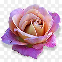 ����ɰ�Сͼ��-������