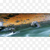 ��Ӱ����-������