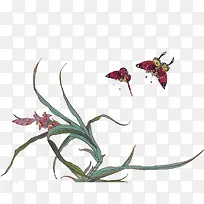 兰花草-空若网 兰花草-空若网