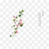 手绘花卉-空若网 手绘花卉-空若网