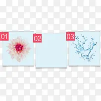 ���������߿�-������