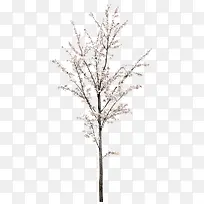白色樱花树装饰-空若网 白色樱花树装饰-空若网