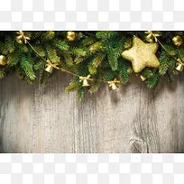 ʥ����ľ�屳��-������