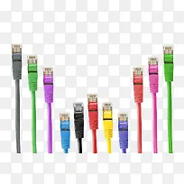 ��ɫ����-������