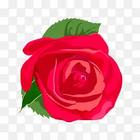 ��ɫõ�廨ʸ��ͼ-������