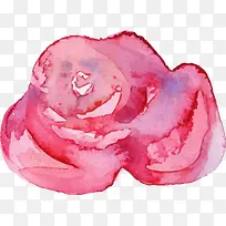 玫瑰花-空若网 玫瑰花-空若网