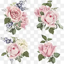 手绘玫瑰-空若网 手绘玫瑰-空若网