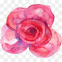 玫瑰花-空若网 玫瑰花-空若网