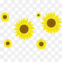 ���տ�����-������