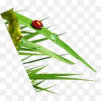 С���ϵ�¶��ư��-������