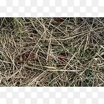 草料背景-空若网 草料背景-空若网