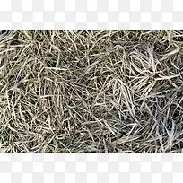 �ݲ��ʱ���-������