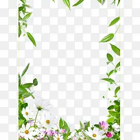 花卉边框-空若网 花卉边框-空若网