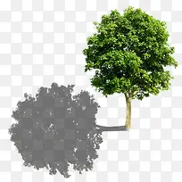 绿色树和倒影-空若网 绿色树和倒影-空若网