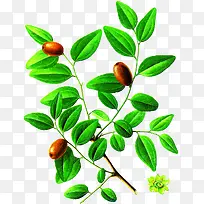 手绘彩铅烤生蚝图片素材-空若网 手绘彩铅烤生蚝图片素材-空若网