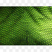 ��ɫ��Ƭ��������-������