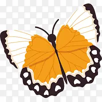 卡通蝴蝶矢量图下载-空若网 卡通蝴蝶矢量图下载-空若网