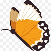 卡通蝴蝶矢量图下载-空若网 卡通蝴蝶矢量图下载-空若网