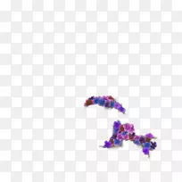 ��������ɫ�Ϻ�ɫ�鱦��������-����-������