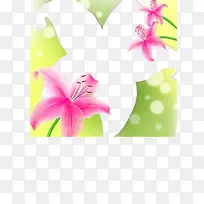 ��ɫ���Ȼ���ɫ�����߿�-������